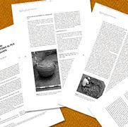 Estudiis